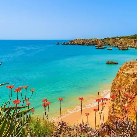 Por Do Sol Is A Wonderful 6 Bedroom Carvoeiro - Ac And Private Pool * カルヴォエイロ